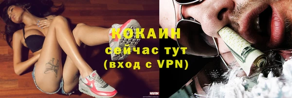 спайс Мегион