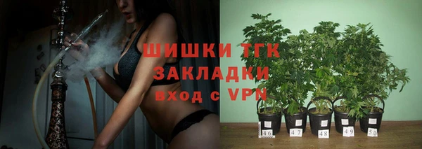 гидра Медвежьегорск