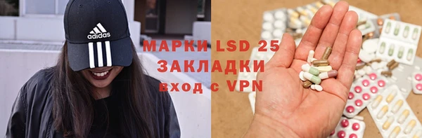 ПСИЛОЦИБИНОВЫЕ ГРИБЫ Медногорск