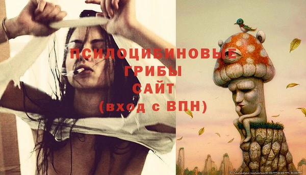метадон Михайлов