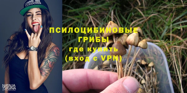 гидропоника Алексеевка
