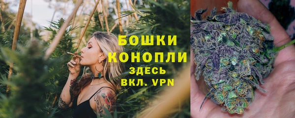 метадон Михайлов