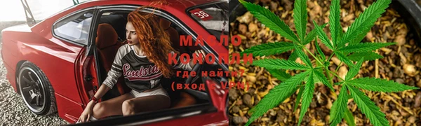 гидра Медвежьегорск