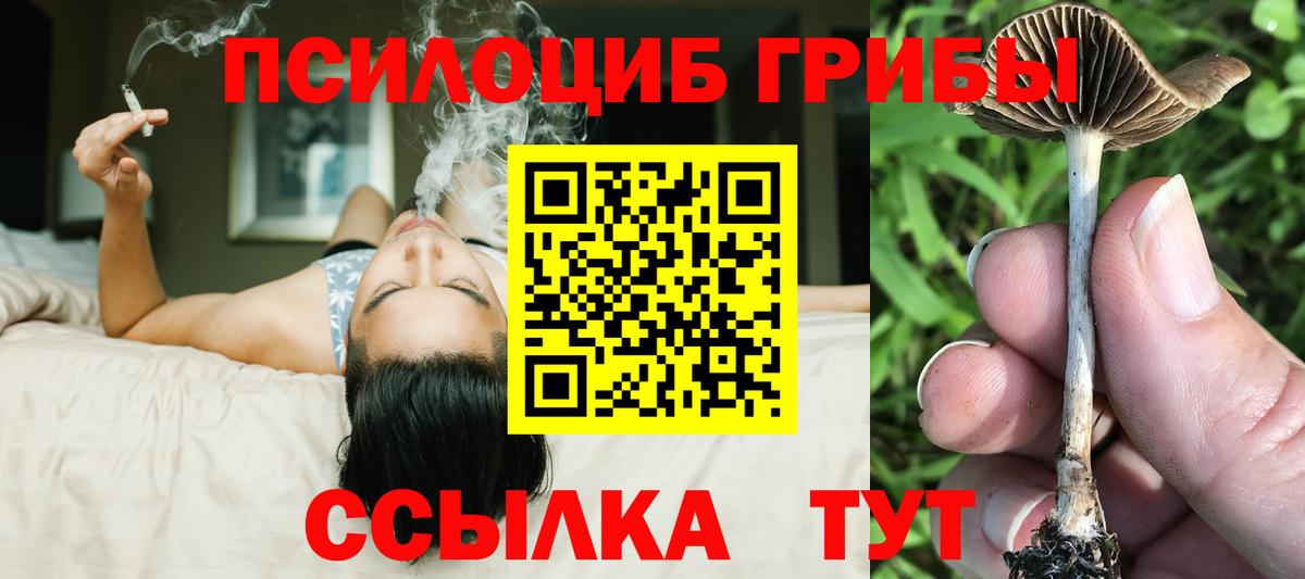 Зеленогорск  Галлюциногенные грибы GOLDEN TEACHER  Вход с VPN 