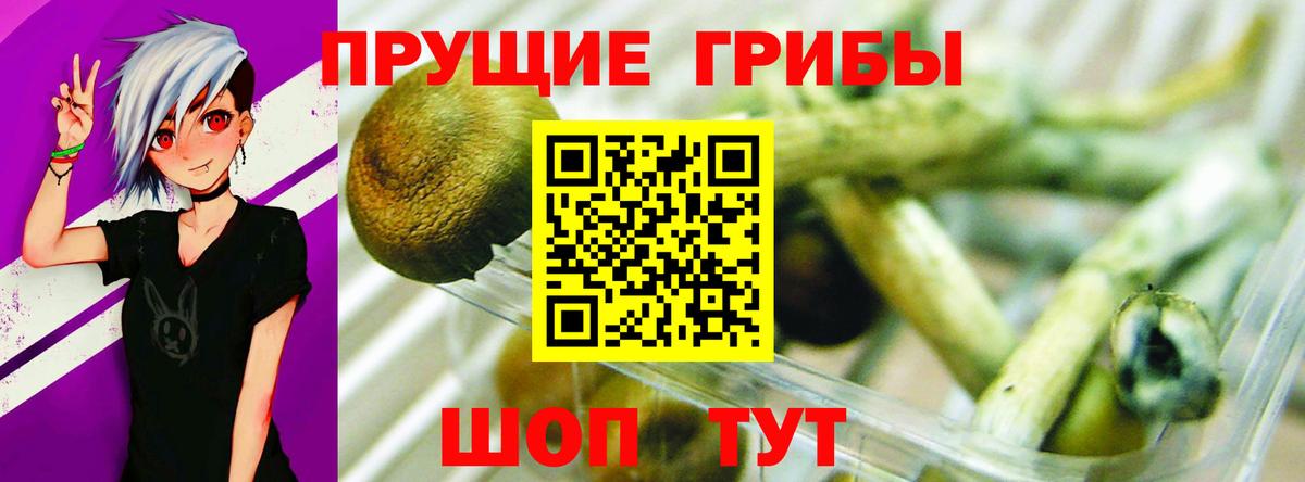 Галлюциногенные грибы ЛСД  Зеленогорск  Псилоцибиновые грибы Psilocybine cubensis 